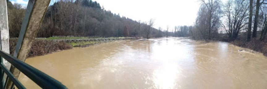 picture of the green river in spring in Kent, WA